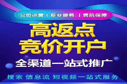 百度SEM广告策略在电商行业的成功案例